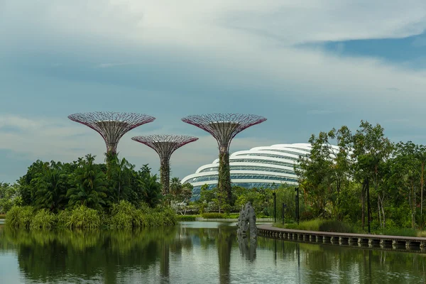 Zahrady u zátoky v Singapuru. — Stock fotografie