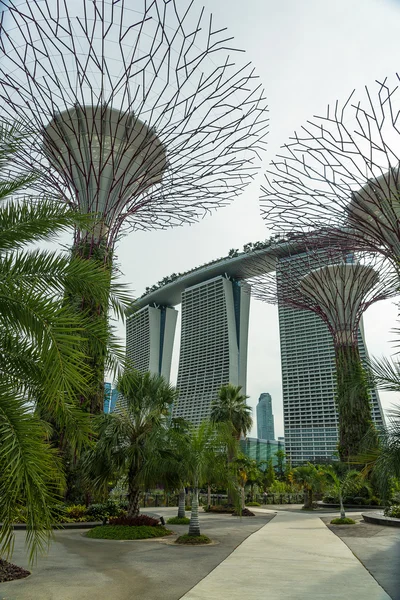 Tuinen bij de baai van Singapore. — Stockfoto