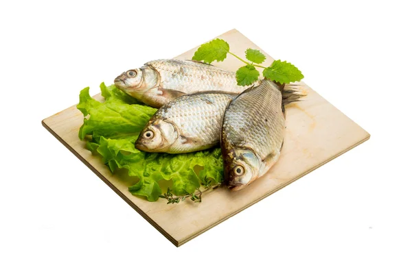 Pesce crociato — Foto Stock