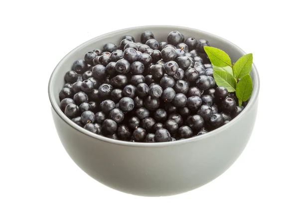 Blueberry — Stock Photo, Image