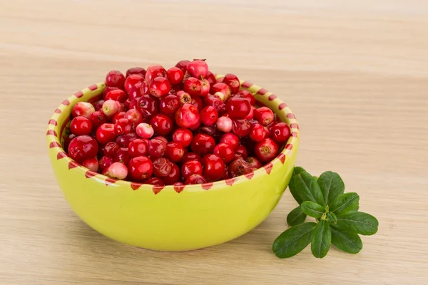 Cowberry — Stock Photo, Image