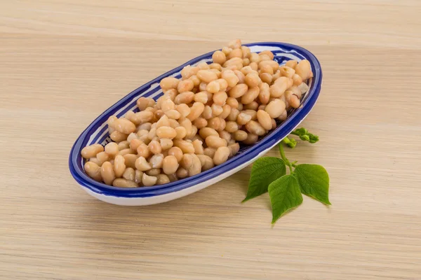 Fagioli bianchi — Foto Stock