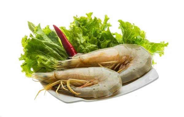 Tiger prawn — Stock Photo, Image