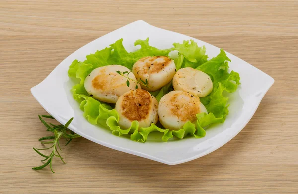 Grilled scallops — Stock Photo, Image