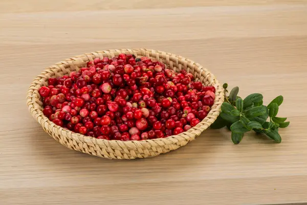 Cowberry — Stock Photo, Image