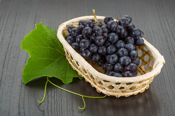 Grape — Stock Photo, Image