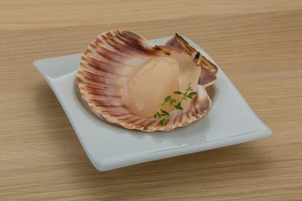 Raw scallops — Stock Photo, Image