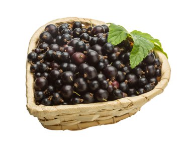 Siyah frenk üzümü