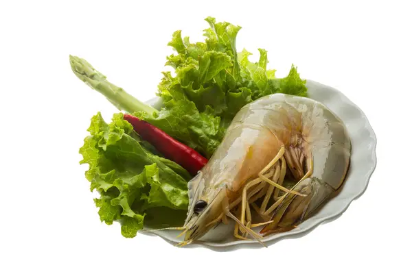 Langostino tigre — Foto de Stock