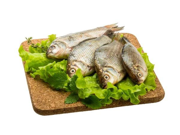 Poissons crucifères — Photo