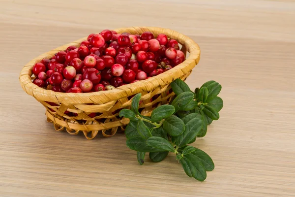 Cowberry — Stock Photo, Image