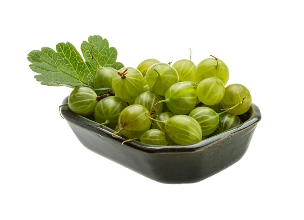 Gooseberries — Stock fotografie