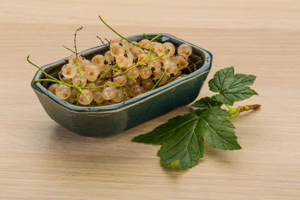 Ribes bianco — Foto Stock