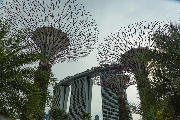 Jardines cerca de la bahía en Singapur. — Foto de Stock