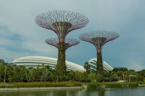 Jardines cerca de la bahía en Singapur. — Foto de Stock