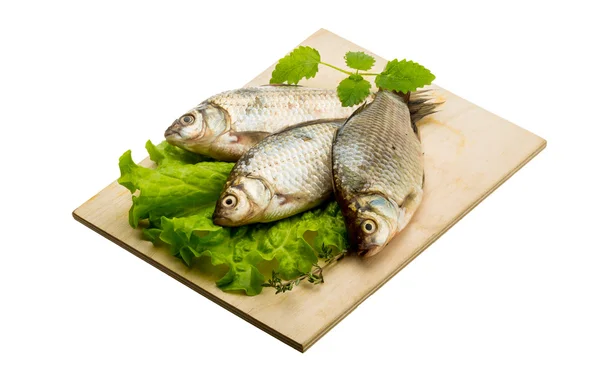 Pesce crociato — Foto Stock