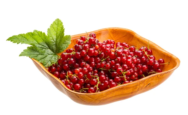 Red currant — Stock Photo, Image