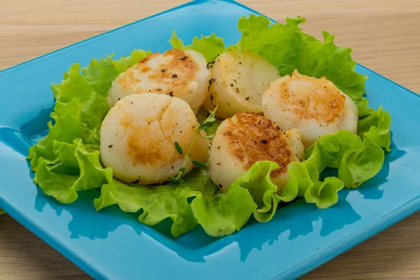 Grilled scallops — Stock Photo, Image