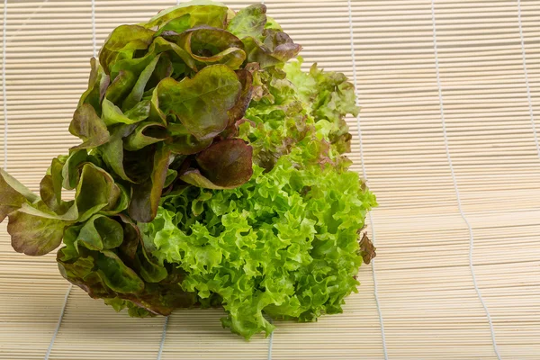 Vários mistura de folhas de salada — Fotografia de Stock