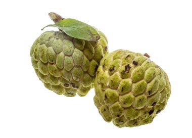 Noni meyve