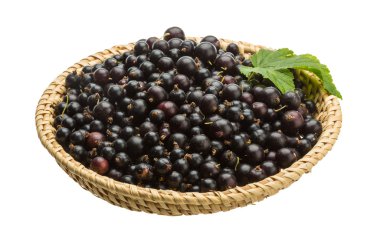 Siyah frenk üzümü