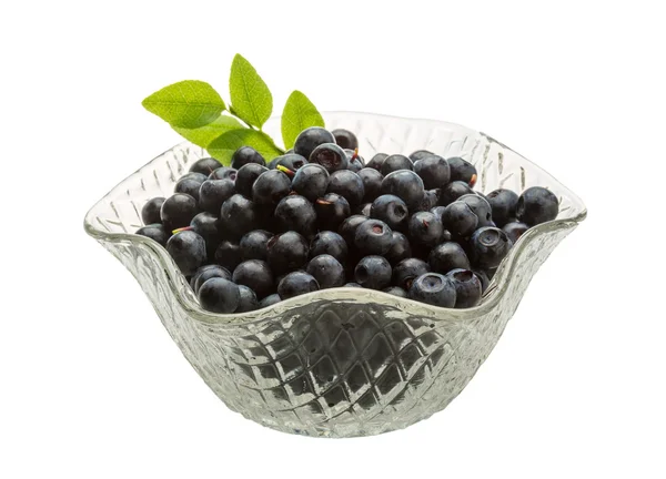 Blueberry — Stock Photo, Image