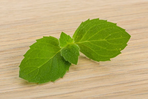 Hojas de menta — Foto de Stock