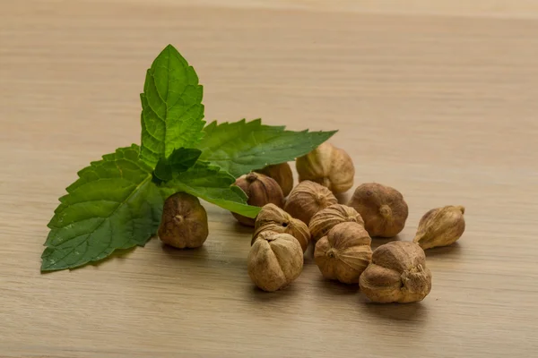 Cardamom — Stock Photo, Image