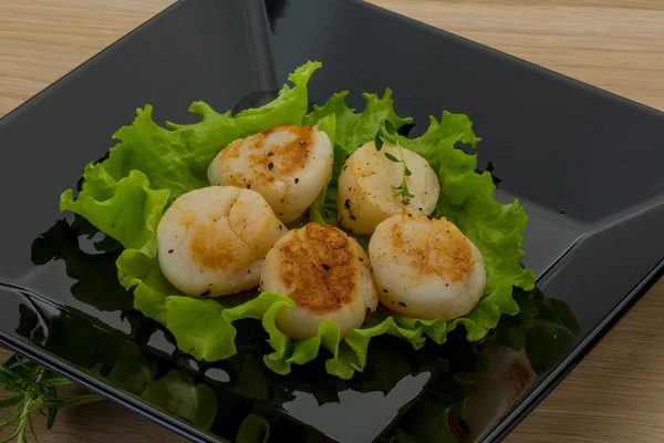 Grilled scallops — Stock Photo, Image