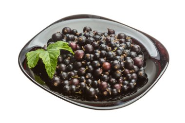 Siyah frenk üzümü