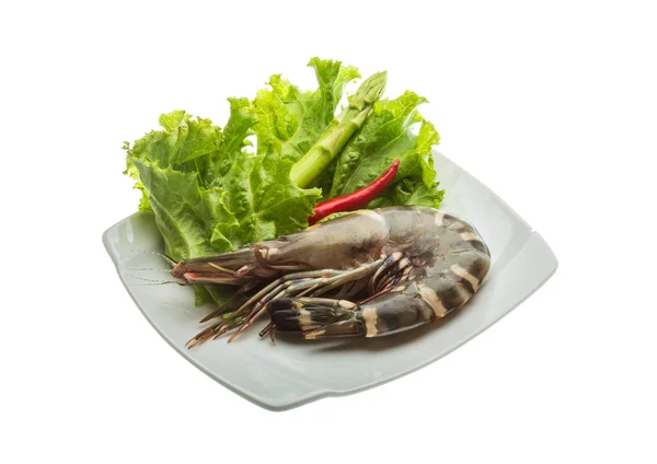 Tiger prawn — Stock Photo, Image