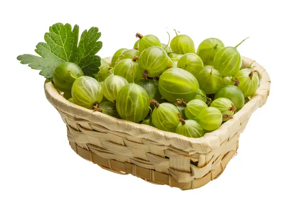 Gooseberry — Stok Foto