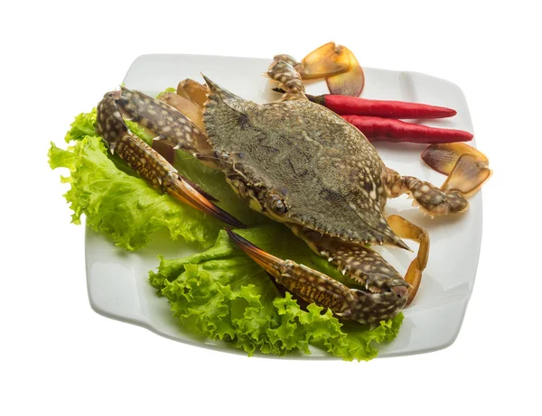 Raw crab — Stock Photo, Image