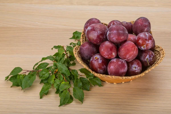 Fresh plums — Stock Photo, Image