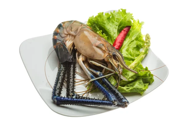 Gambas de agua dulce — Foto de Stock