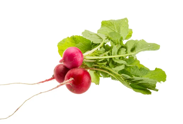 Fresh radish — Stock Photo, Image