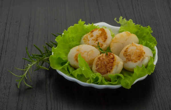 Grilled scallops — Stock Photo, Image