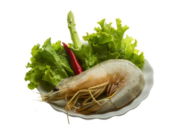 Langostino tigre — Foto de Stock