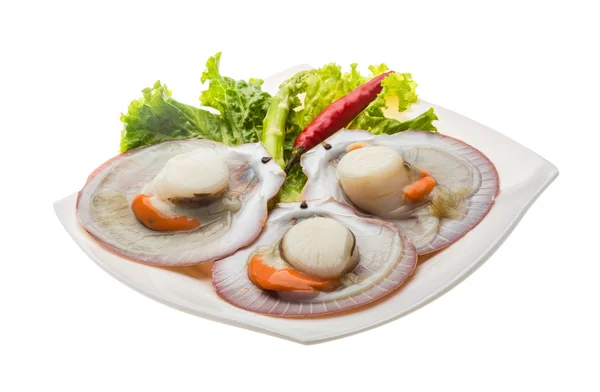 Raw fresh scallop — Stock Photo, Image