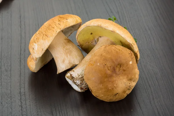 Boletus paddestoel — Stockfoto