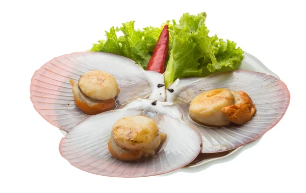 หอยเชลล์ย่าง — ภาพถ่ายสต็อก