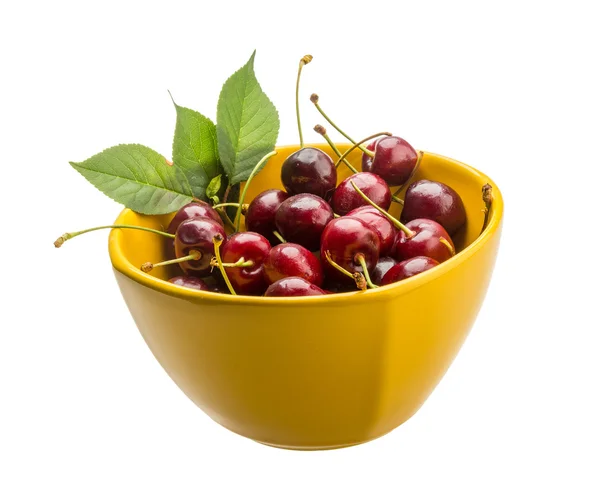 Gean - cherry — Stockfoto