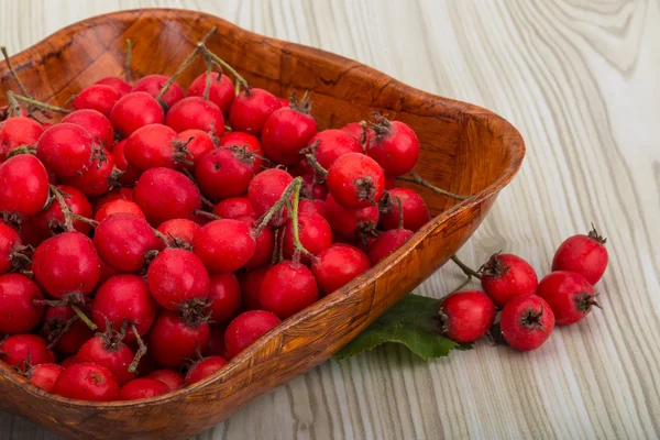 Hawthorn berries — Stock Photo, Image
