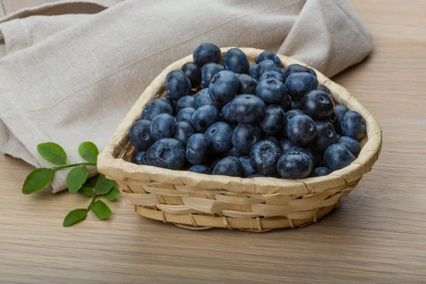 Blueberry met bladeren — Stockfoto