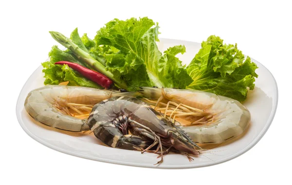 Crevettes roi et jambe d'eau — Photo