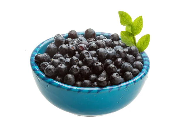 Blueberry with leaves — Stock Photo, Image