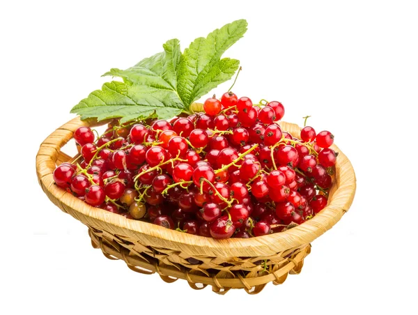 Red currant — Stock Photo, Image