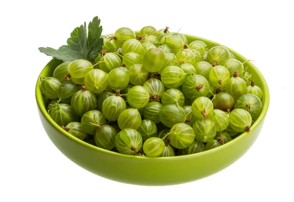 Gooseberry di mangkuk — Stok Foto