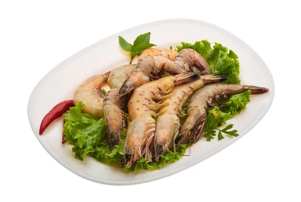 Langostino — Foto de Stock