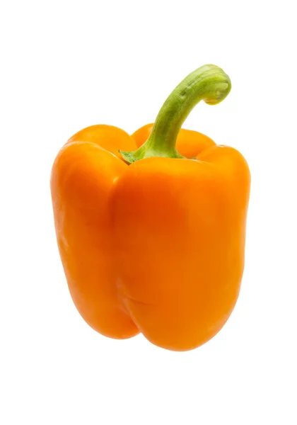 橙色保加利亚胡椒 — 图库照片